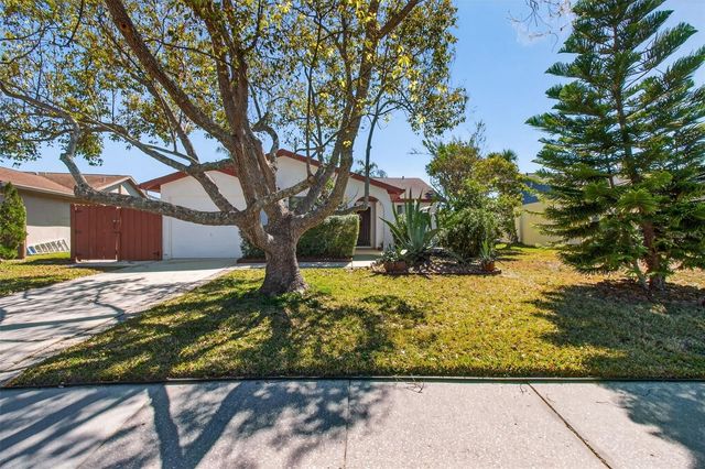 215 LAKE CHARLES COURT, Oldsmar, FL 34677