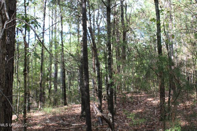 7 Old Byhalia Road, Byhalia, MS 38611