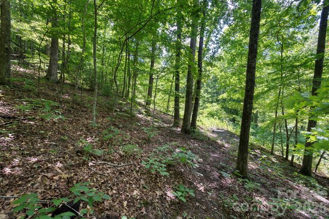 1250 Arborcrest Way 43, Swannanoa, NC 28778