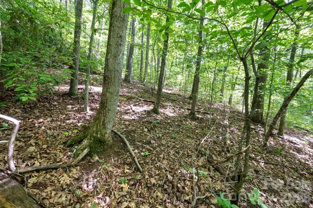 1250 Arborcrest Way 43, Swannanoa, NC 28778