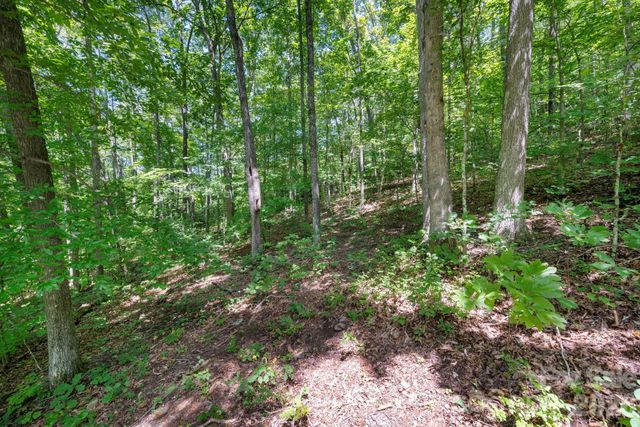 1250 Arborcrest Way 43, Swannanoa, NC 28778
