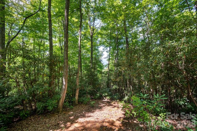 1250 Arborcrest Way 43, Swannanoa, NC 28778