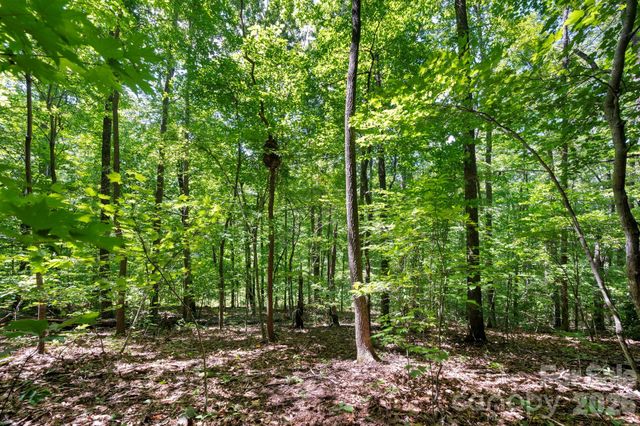 1250 Arborcrest Way 43, Swannanoa, NC 28778