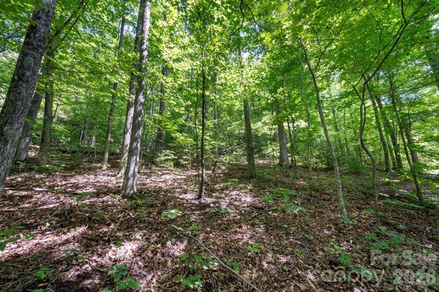 1250 Arborcrest Way 43, Swannanoa, NC 28778