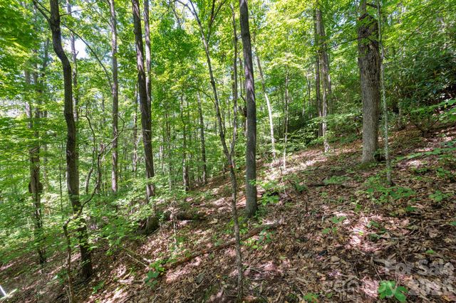 1250 Arborcrest Way 43, Swannanoa, NC 28778