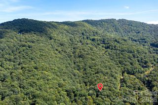 1250 Arborcrest Way 43, Swannanoa, NC 28778