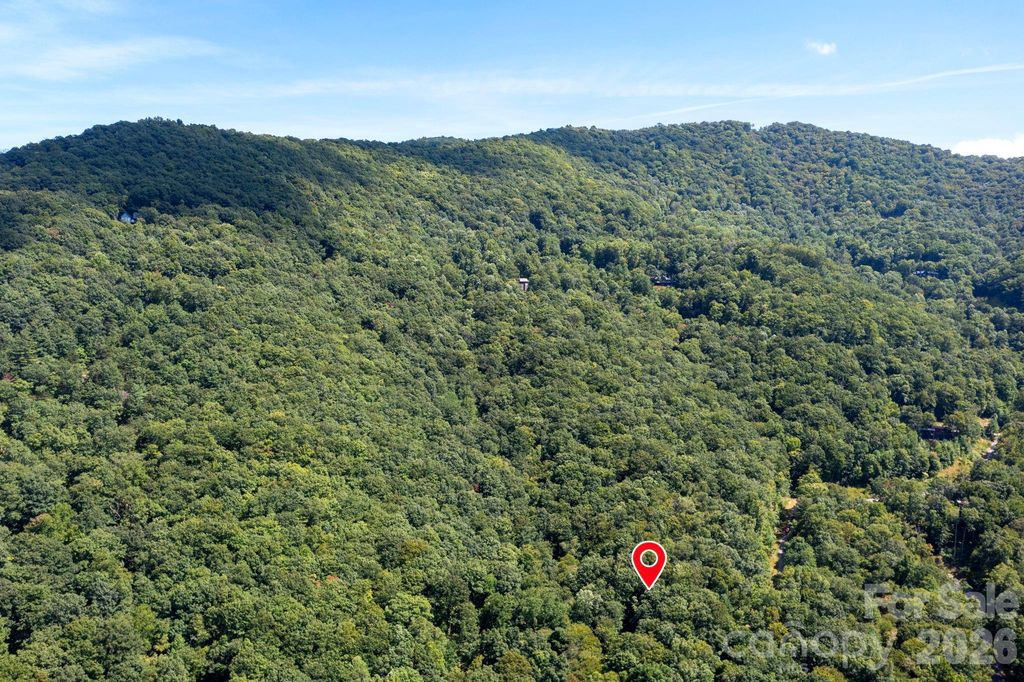 1250 Arborcrest Way 43, Swannanoa, NC 28778