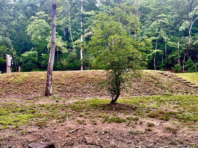 193 Opossum Road, Blairsville, GA 30512