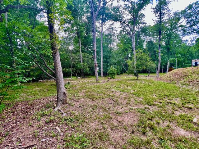 193 Opossum Road, Blairsville, GA 30512
