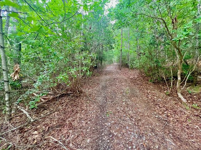 193 Opossum Road, Blairsville, GA 30512