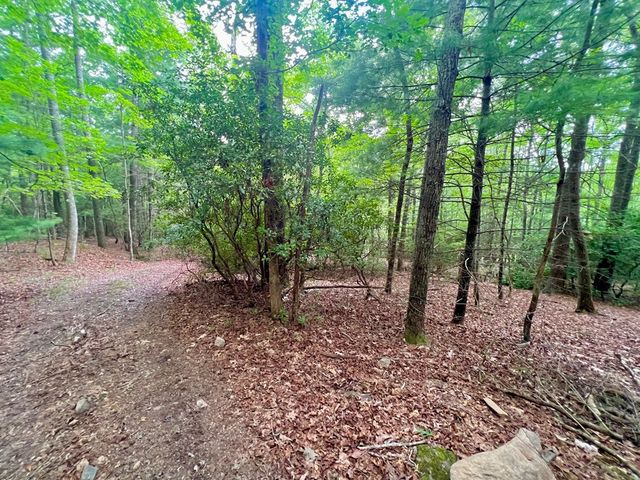 193 Opossum Road, Blairsville, GA 30512