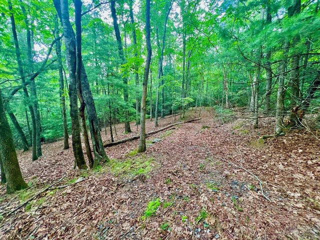 193 Opossum Road, Blairsville, GA 30512