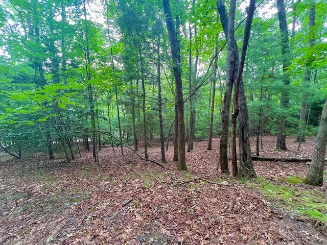 193 Opossum Road, Blairsville, GA 30512
