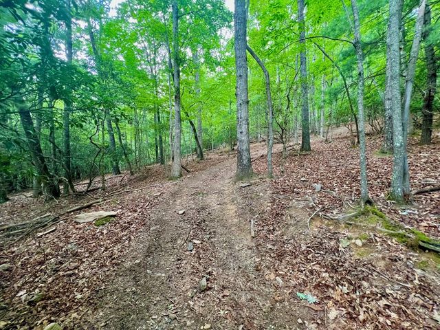 193 Opossum Road, Blairsville, GA 30512