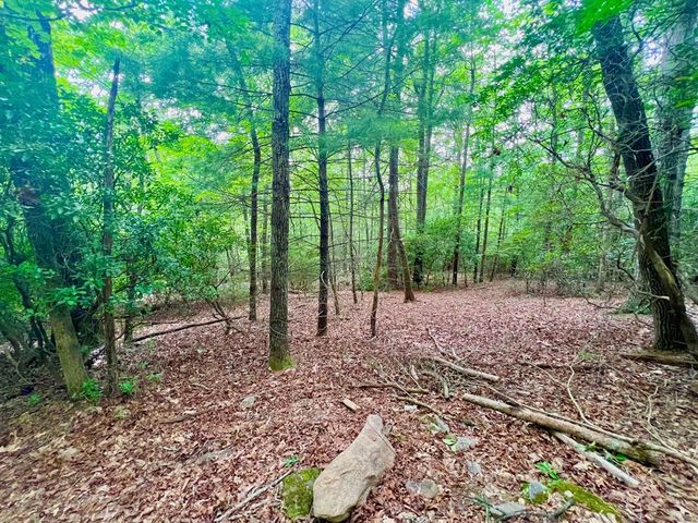 193 Opossum Road, Blairsville, GA 30512