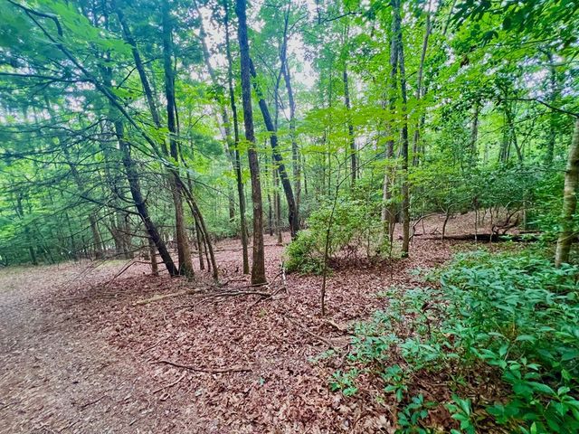193 Opossum Road, Blairsville, GA 30512