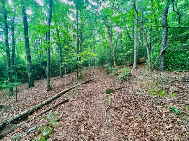 193 Opossum Road, Blairsville, GA 30512