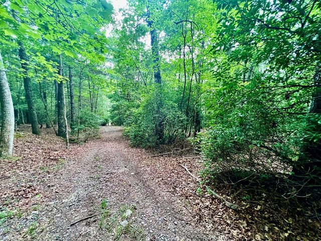 193 Opossum Road, Blairsville, GA 30512