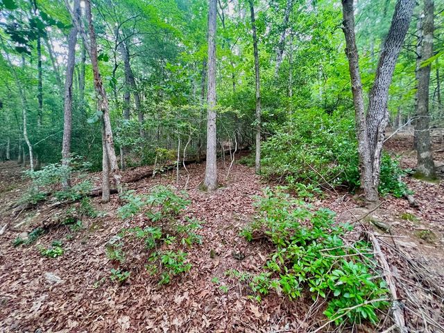 193 Opossum Road, Blairsville, GA 30512