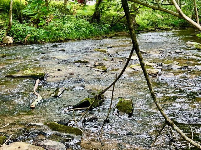193 Opossum Road, Blairsville, GA 30512
