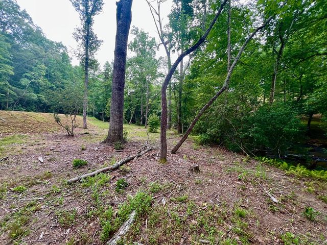 193 Opossum Road, Blairsville, GA 30512