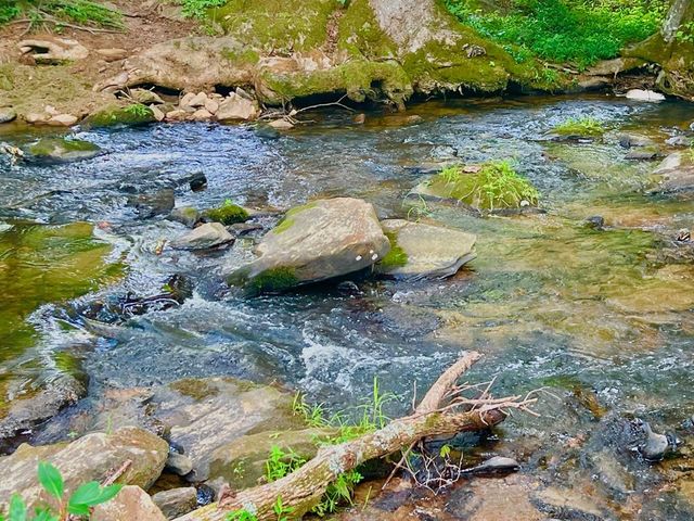 193 Opossum Road, Blairsville, GA 30512