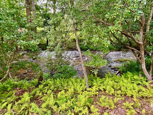 193 Opossum Road, Blairsville, GA 30512