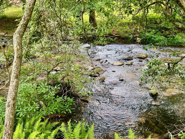 193 Opossum Road, Blairsville, GA 30512