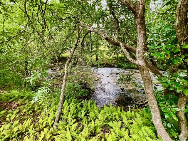 193 Opossum Road, Blairsville, GA 30512