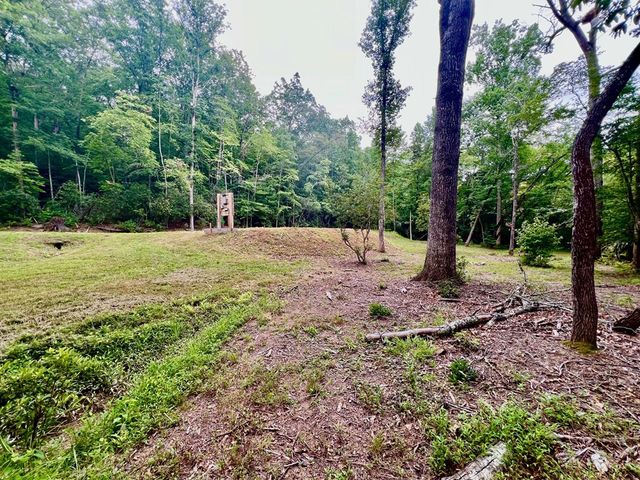 193 Opossum Road, Blairsville, GA 30512