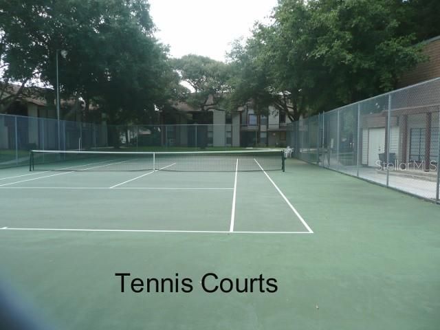 1568 NANTUCKET COURT 1302, Palm Harbor, FL 34683