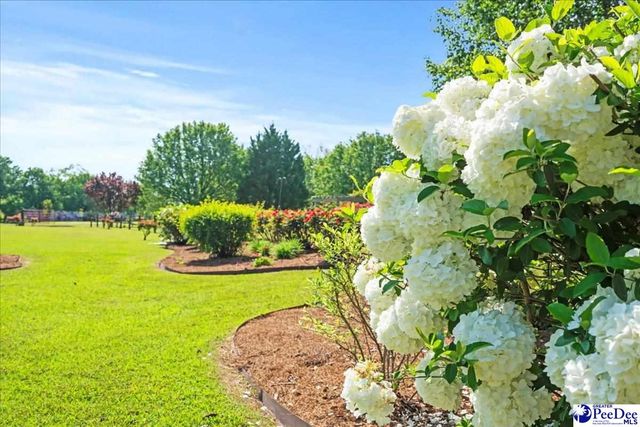 526 Shannon Rd., Marion, SC 29571