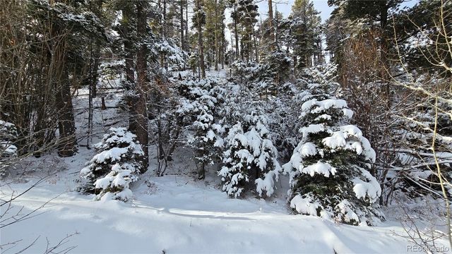 Lot 5540 Joy Road, Fort Garland, CO 81133