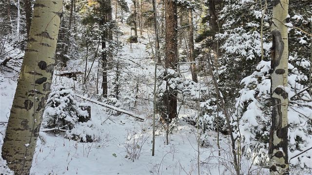 Lot 5540 Joy Road, Fort Garland, CO 81133