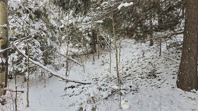 Lot 5540 Joy Road, Fort Garland, CO 81133