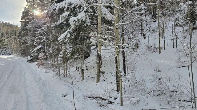 Lot 5540 Joy Road, Fort Garland, CO 81133