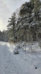 Lot 5540 Joy Road, Fort Garland, CO 81133