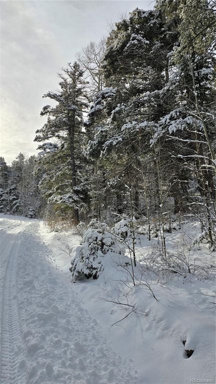 Lot 5540 Joy Road, Fort Garland, CO 81133