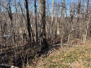 000 Brooks Street, Greeneville, TN 37743