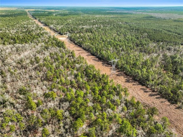 0 Old Hecker Road, Iowa, LA 70647