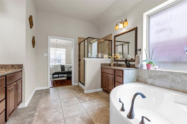 13918 Albany Springs Lane, Houston, TX 77044