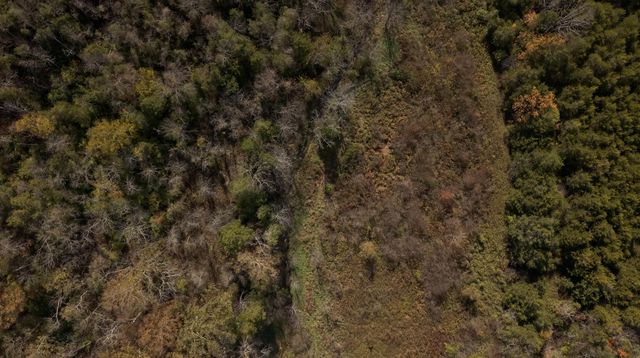 0 Cornishville Road, Harrodsburg, KY 40330