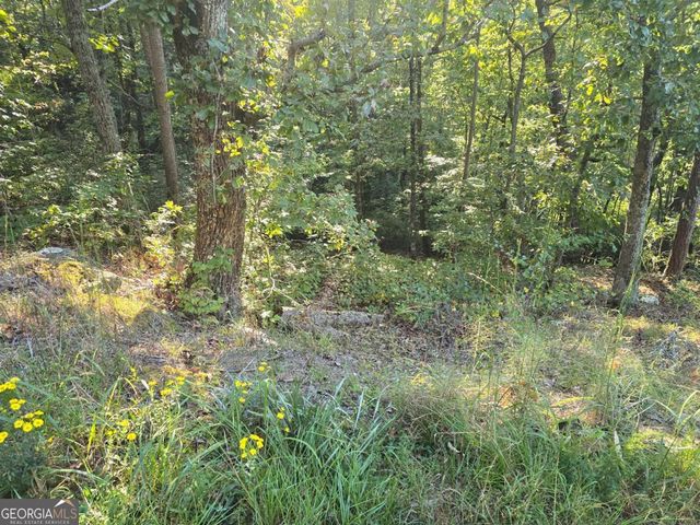 3831 Skyline Drive, Gainesville, GA 30501