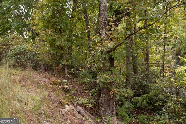 3831 Skyline Drive, Gainesville, GA 30501