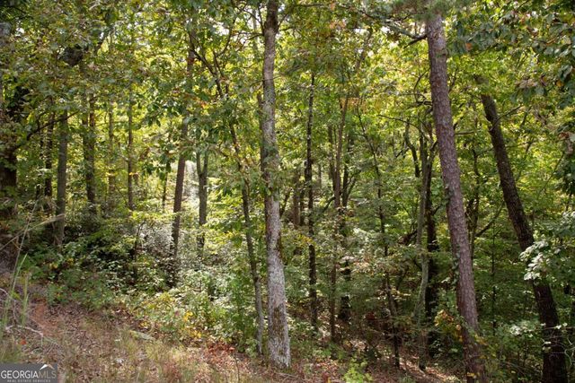 3831 Skyline Drive, Gainesville, GA 30501