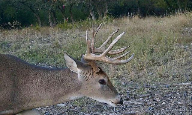 1337 PR 3440, Kempner, TX 76539