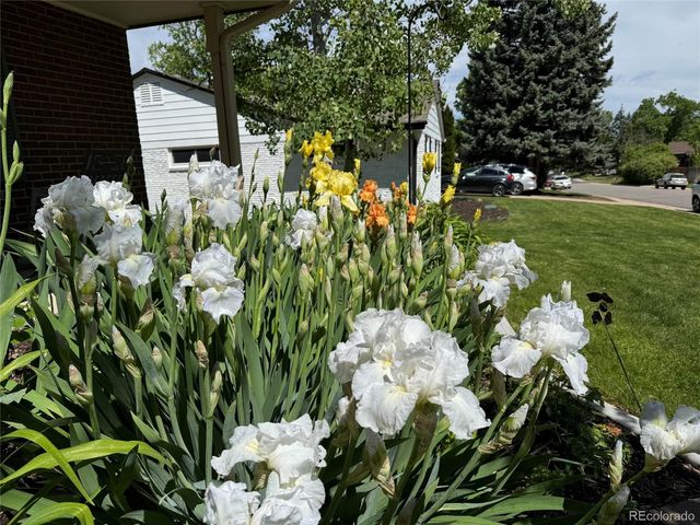3141 S Jasmine Way, Denver, CO 80222