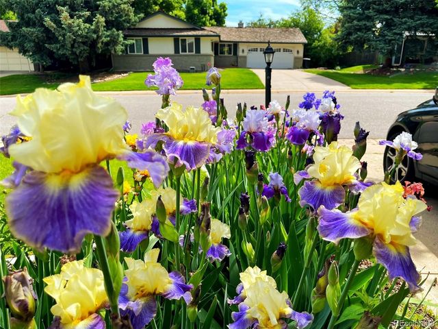 3141 S Jasmine Way, Denver, CO 80222