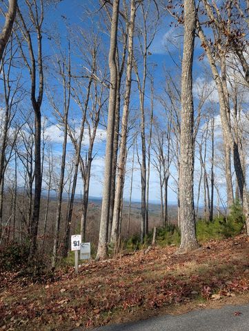 Lot 91 Winding Ridge, Blairsville, GA 30512