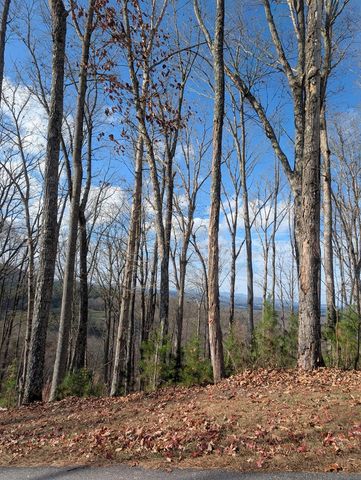 Lot 91 Winding Ridge, Blairsville, GA 30512